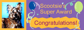 Scootsie's Super Award