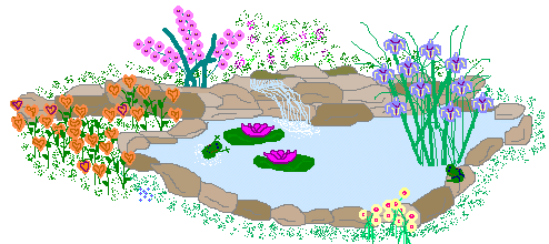 Pond by Helen